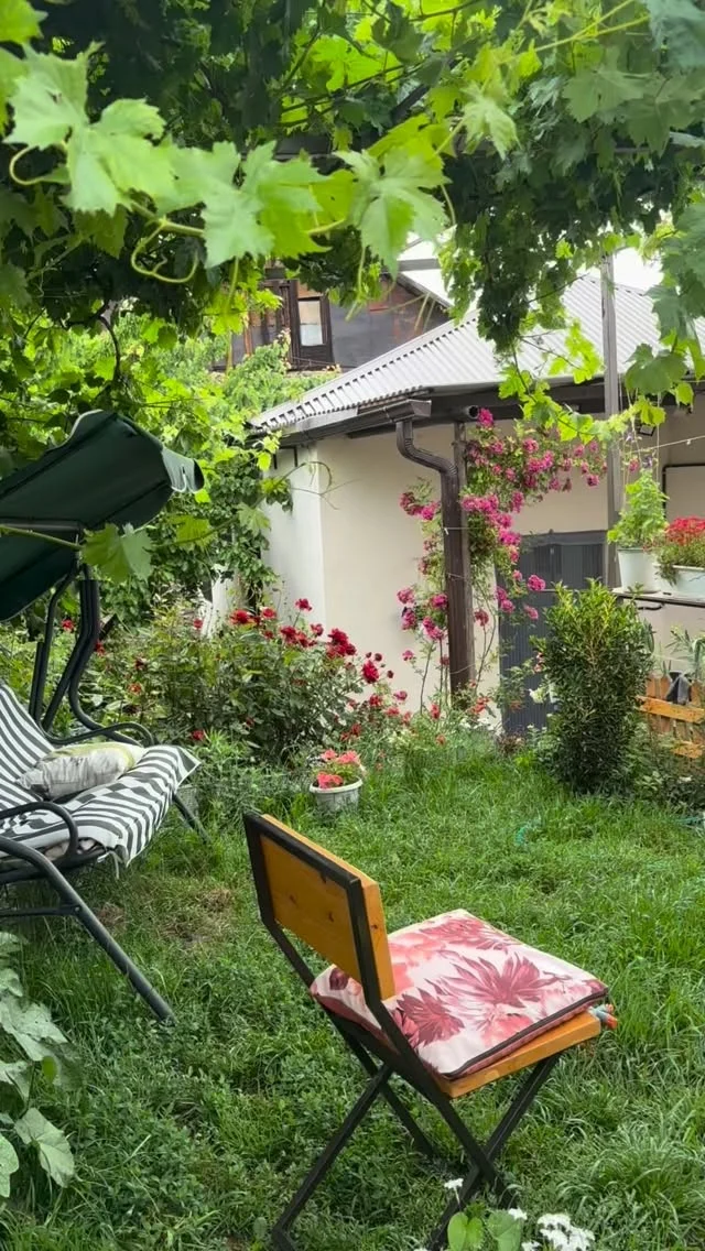 Us, basically, for all of 2024 when visiting our nenes 😂☕️🧡
#cookingwithnene #grandmascooking #armeniangrandma #armenianhospitality #armenia